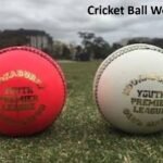 Cricket Ball Weight