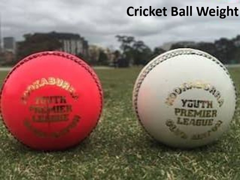 Cricket Ball Weight