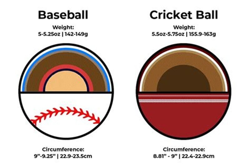 Cricket Ball vs Baseball