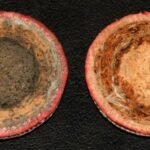 What Is a Cricket Ball Made Of