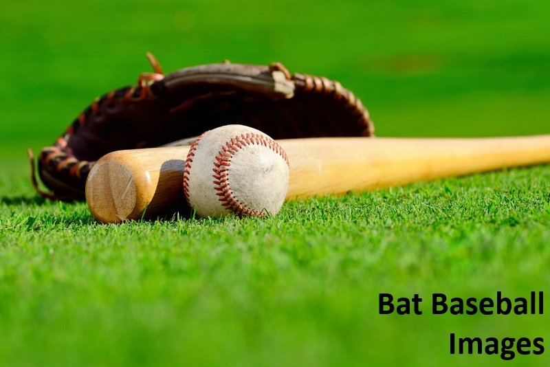 Bat Baseball Images