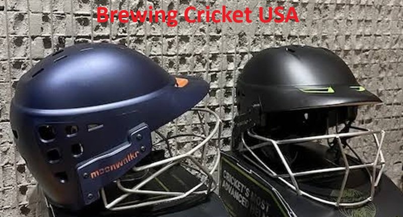 Brewing Cricket USA