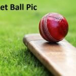 Cricket Ball Pic