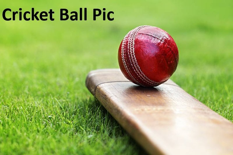 Cricket Ball Pic