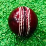 Cricket Hard Ball