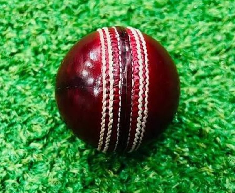Cricket Hard Ball