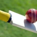 Sports Bat Ball