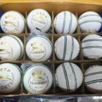 White Cricket Ball