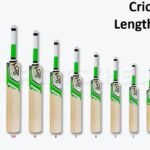 Cricket Bat Length Guide