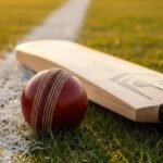 Hardball Cricket Bats