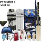 How Much Is a Cricket Set