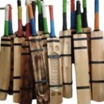 Wooden Bat Cricket