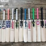 Cricket Bat Most Expensive