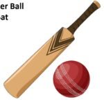 Leather Ball and Bat